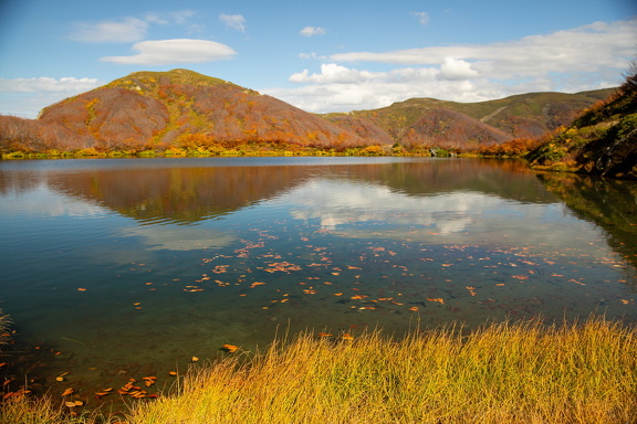 Грузия, Аджария